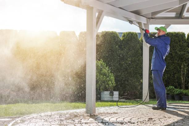 Animal Enclosure Cleaning in Copiague, NY